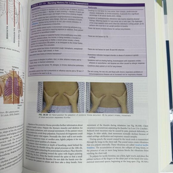Potter & Perry Fundamentals of Nursing Textbook 11th Edition - Picture 3 of 4